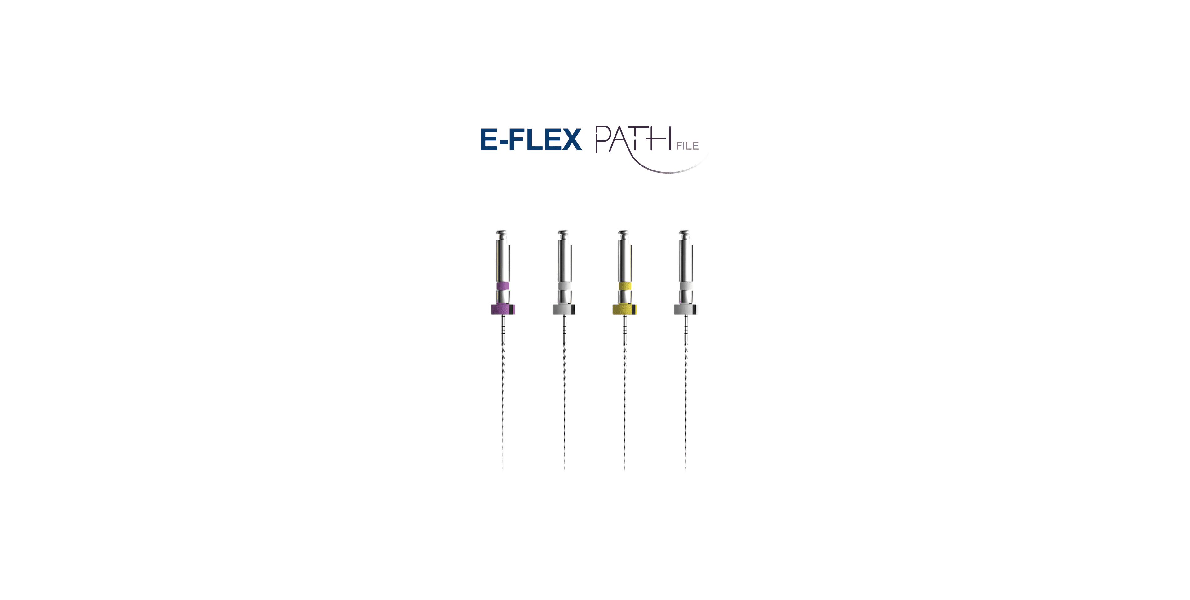 E-FLEX PATH ენდოფაილი