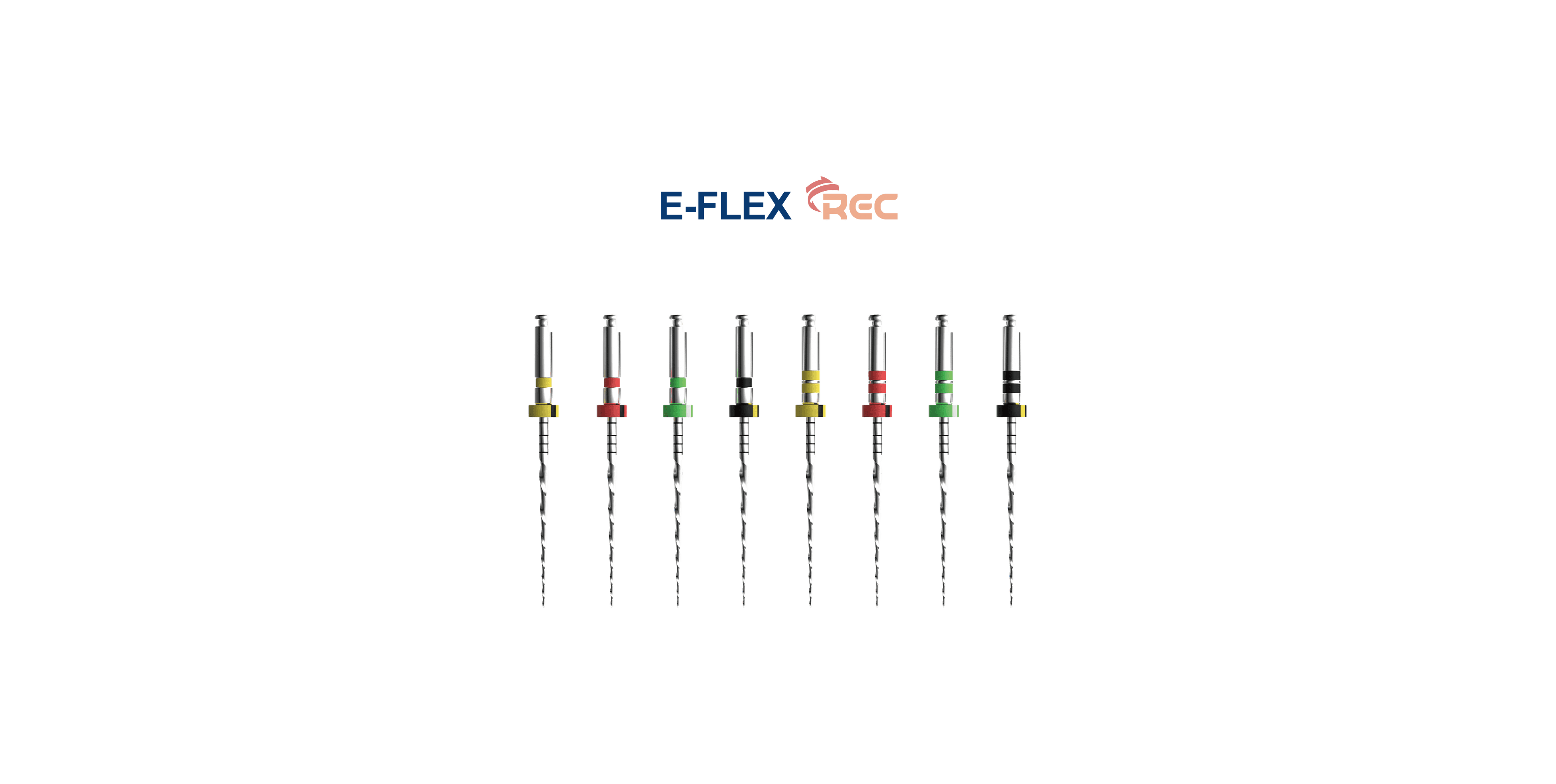 E-FLEX REC ენდოფაილი