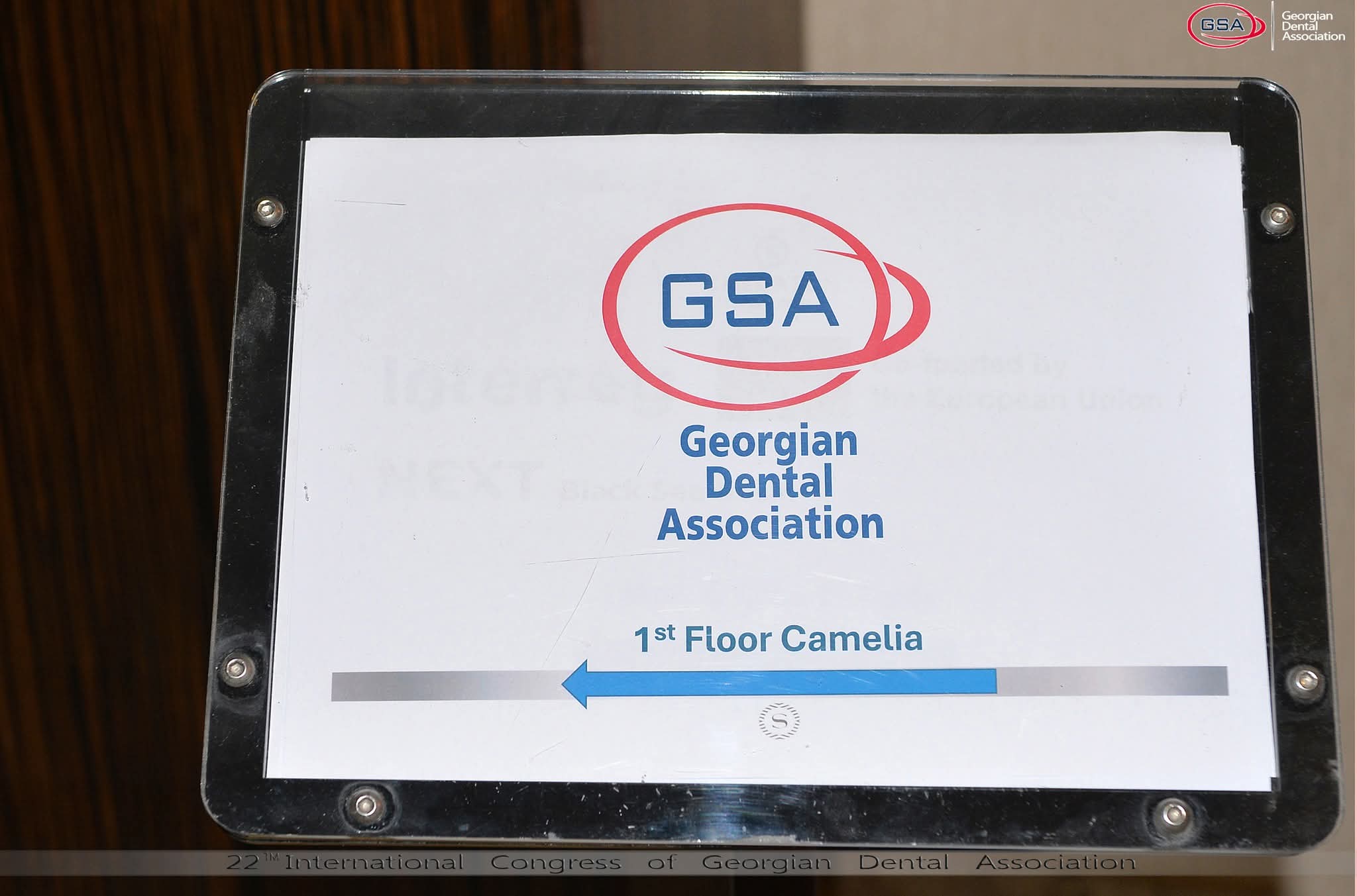 GSA Georgian Dental Association მიმართულების ნიშანი